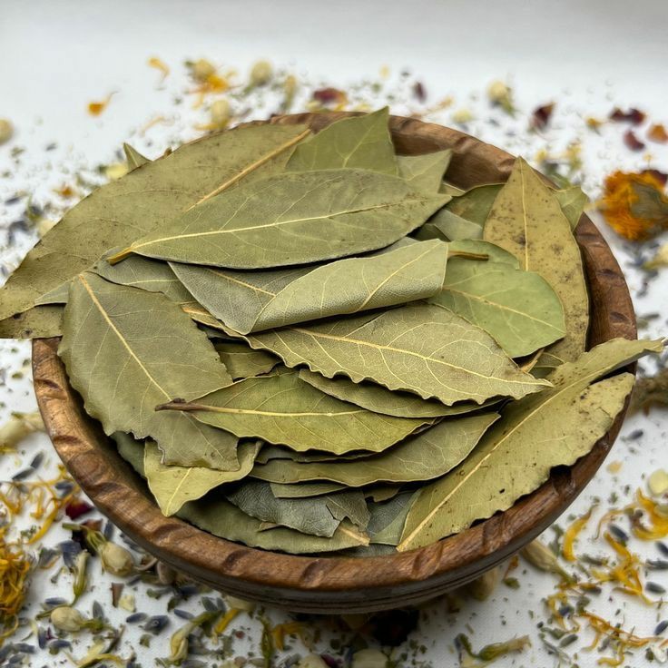 Les feuilles de laurier 
